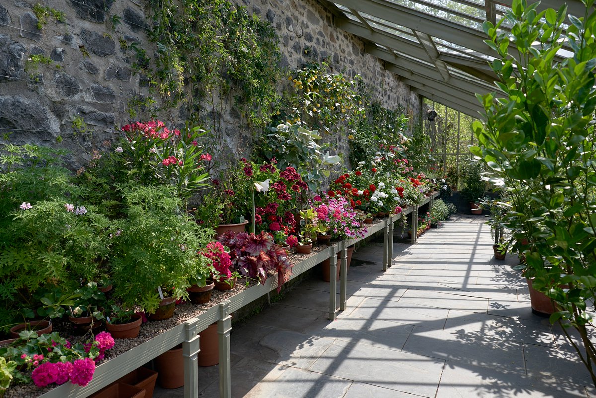 We’re proud to once again be in the running for RHS Partner Garden of the Year—an honour we were delighted to receive as RHS Regional Winner for Scotland in 2022!

This year’s theme is “Joy”, and we’d love your vote if Dunvegan has brought you some:
🗳 rhs.org.uk/gardens/partne…