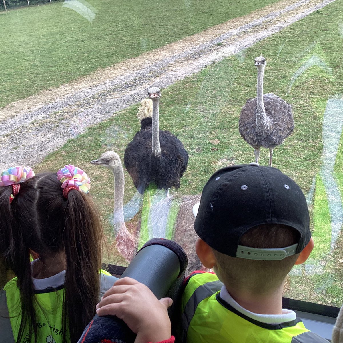 Mrs Lister tweet media