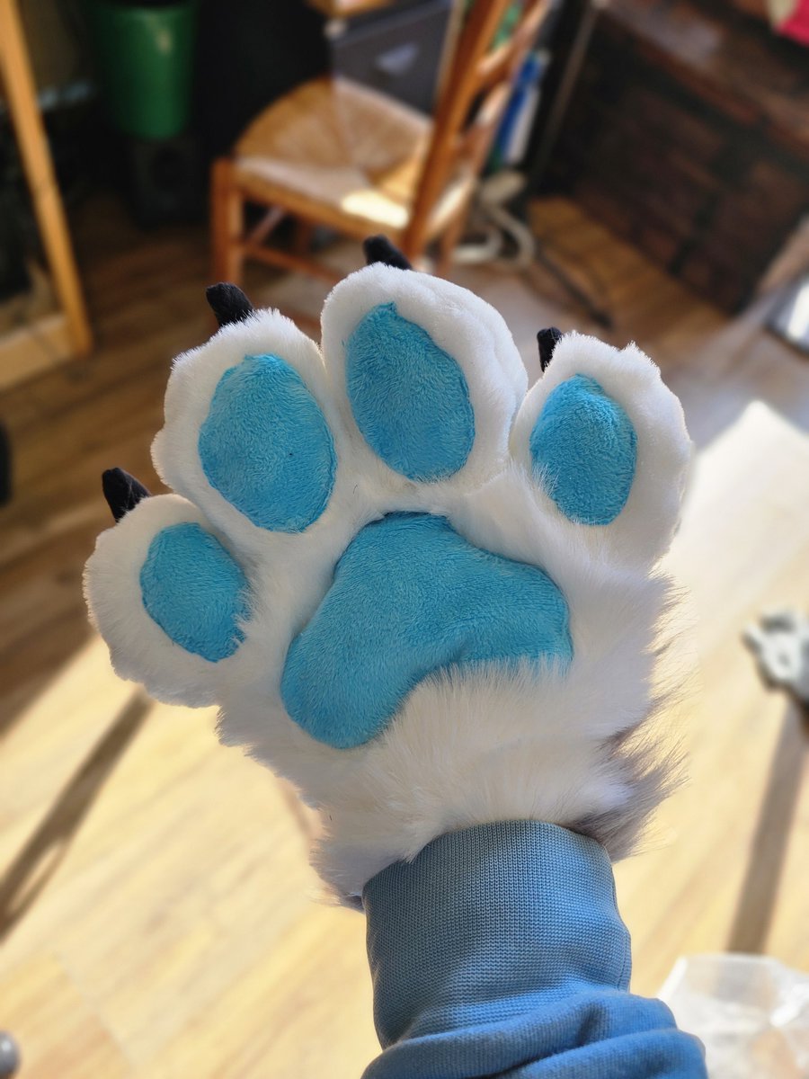 Paws ✨