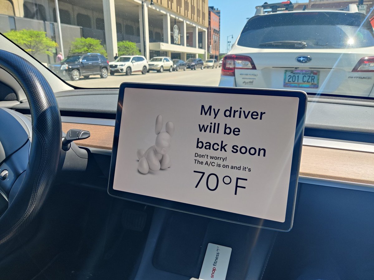 GreyCat48's tweet image. My coworker put on dog mode while I waited in the car