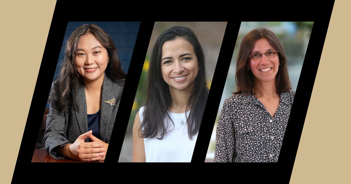 Purdue Agriculture (@purdueag) on Twitter photo Associate professor of <a href="/PurdueFoodSci/">Purdue Food Science</a> Betty Feng, associate professor of <a href="/PurdueHortLA/">Purdue Horticulture and Landscape Architecture</a> and <a href="/PurdueAgEcon/">Purdue Ag Econ</a> Ariana Torres and professor of <a href="/PurdueBPP/">Purdue BPP</a> Anjali Iyer-Pascuzzi were selected for the 2025-2026 Purdue Insights Forum, supporting leadership growth among #PurdueAg faculty. Associate professor of <a href="/PurdueFoodSci/">Purdue Food Science</a> Betty Feng, associate professor of <a href="/PurdueHortLA/">Purdue Horticulture and Landscape Architecture</a> and <a href="/PurdueAgEcon/">Purdue Ag Econ</a> Ariana Torres and professor of <a href="/PurdueBPP/">Purdue BPP</a> Anjali Iyer-Pascuzzi were selected for the 2025-2026 Purdue Insights Forum, supporting leadership growth among #PurdueAg faculty.