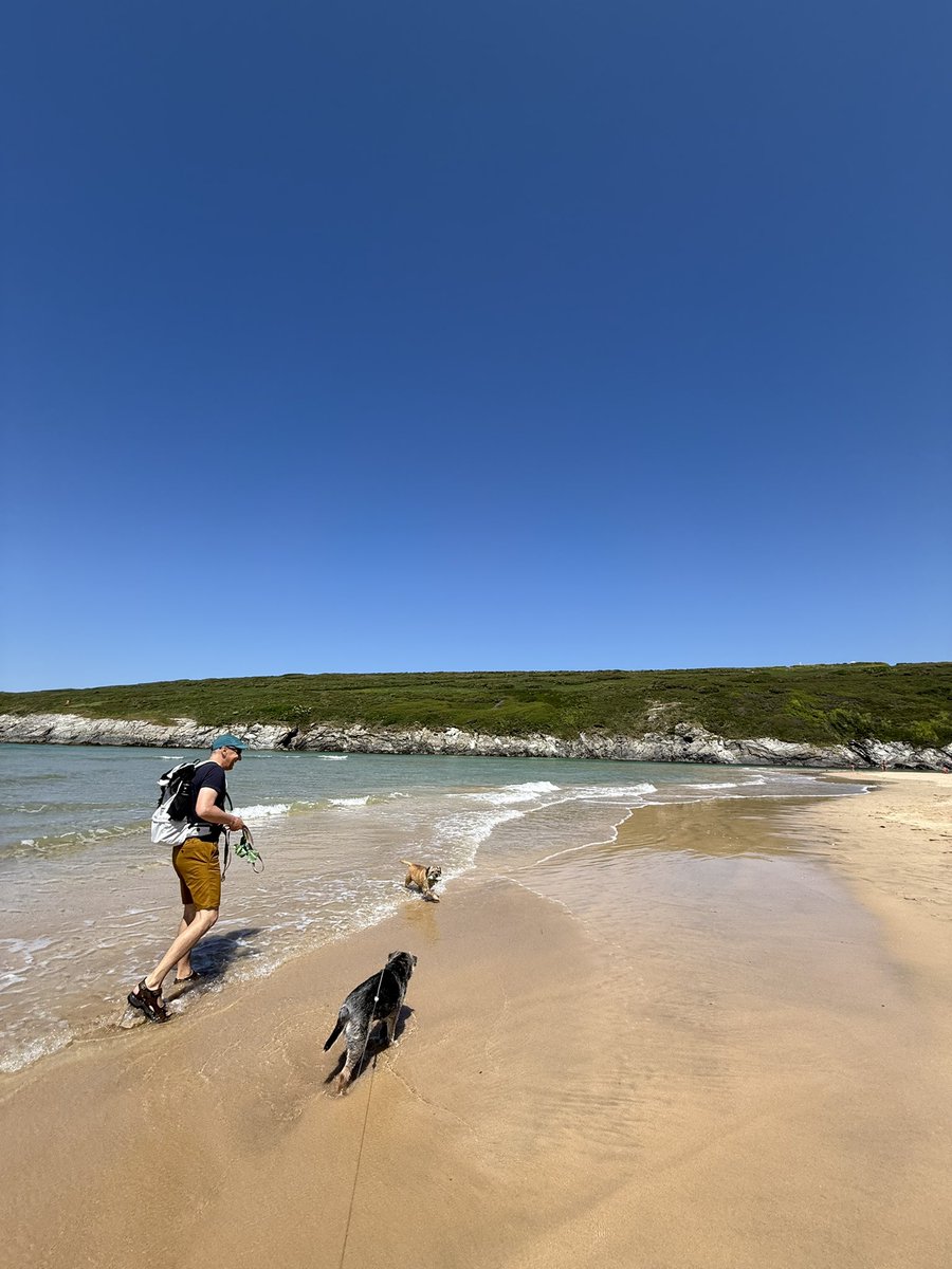IanRohanMD's tweet photo. Sunshine at Crantock today #GetOutside #CrantockBeach #Cornwall https://t.co/tILI4dwsYc
