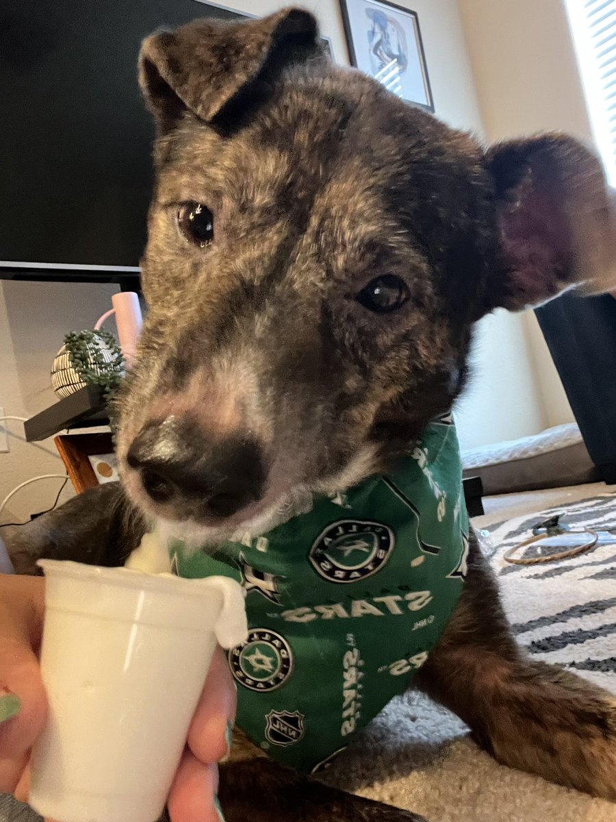 Here To Sports tweet media