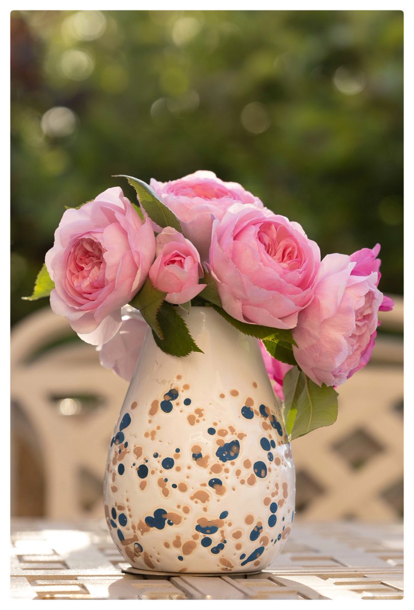 A profusion of pinkness. ⁦<a href="/5Naureen/">Naureen Khalid</a>⁩ ⁦<a href="/FrostlynneLynn/">Lynne Frost</a>⁩ ⁦<a href="/NuttyKnights/">Maria Knight</a>⁩ ⁦<a href="/JCadd/">Julie Caddell</a>⁩ ⁦<a href="/serudd1960/">Susan Rudd</a>⁩ <a href="/loz89/">Lauren Rowlands</a> ⁦<a href="/ShiresGirl/">Karen Weston 💙</a>⁩ ⁦<a href="/gardeneraly/">gardeneraly</a>⁩