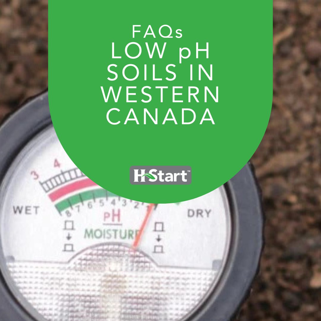 Soil acidity doesn’t just affect crops—it also influences soil microbes. Low pH favors fungi over bacteria, which can slow down organic matter breakdown and nutrient cycling. 
Find out how it affects your soil: loom.ly/ktLHbaA
#SoilHealth