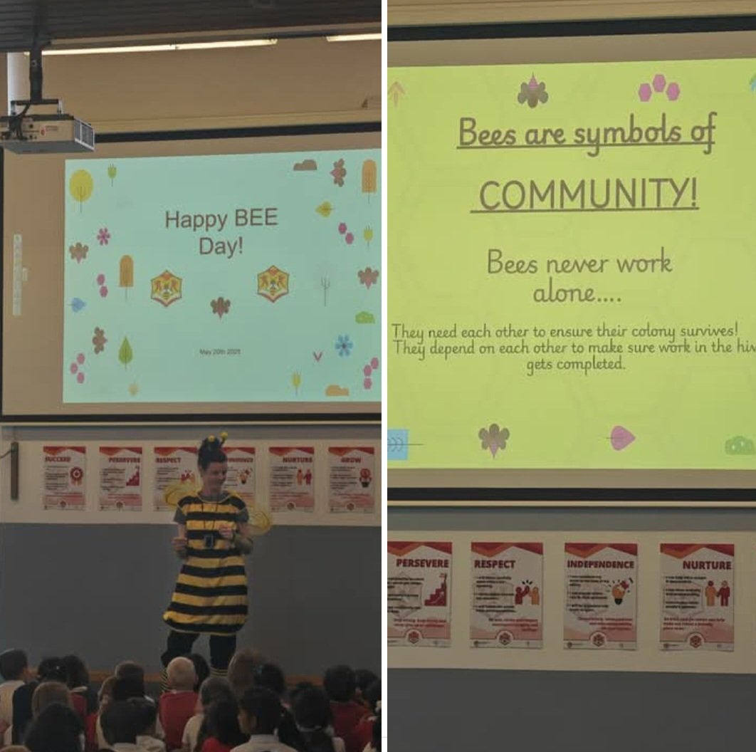 Naomi Mills (@nkmills2023) on Twitter photo We celebrated #worldbeeday2025 <a href="/SpringfieldBeds/">Springfield Primary School, Bedford</a>! Not only is the bee our mascot, it's one of the most important creatures in the world. Well done to all our pupils and staff for another successful half-term ๐๐ป We celebrated #worldbeeday2025 <a href="/SpringfieldBeds/">Springfield Primary School, Bedford</a>! Not only is the bee our mascot, it's one of the most important creatures in the world. Well done to all our pupils and staff for another successful half-term ๐๐ป