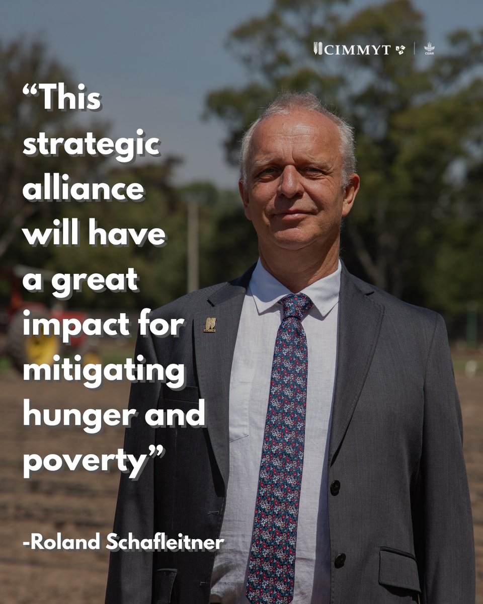 CIMMYT (@cimmyt) on Twitter photo We’re honored to welcome <a href="/WorldVegCenter/">World Vegetable Center (WorldVeg)</a> to our #CIMMYT HQ in Mexico! 🌍
This partnership improves nutrition, boosts incomes, and builds resilient food systems to enhance #FoodSecurity for all. 🌱✨ #AgInnovation We’re honored to welcome <a href="/WorldVegCenter/">World Vegetable Center (WorldVeg)</a> to our #CIMMYT HQ in Mexico! 🌍
This partnership improves nutrition, boosts incomes, and builds resilient food systems to enhance #FoodSecurity for all. 🌱✨ #AgInnovation