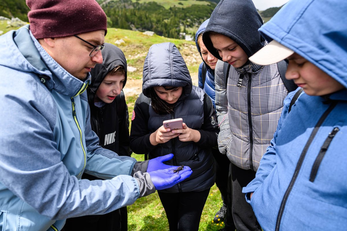 UNDPBiH's tweet photo. 🔛 #BiodiversityDay, students from Fojnica took part in a workshop at Prokoško Lake to explore the importance of protecting nature - spotlighting the endangered alpine newt 🦎 as a powerful reminder of what’s at stake &amp; why conservation matters. 

https://t.co/F3DIc4nHW3 https://t.co/XSOfkXRctw