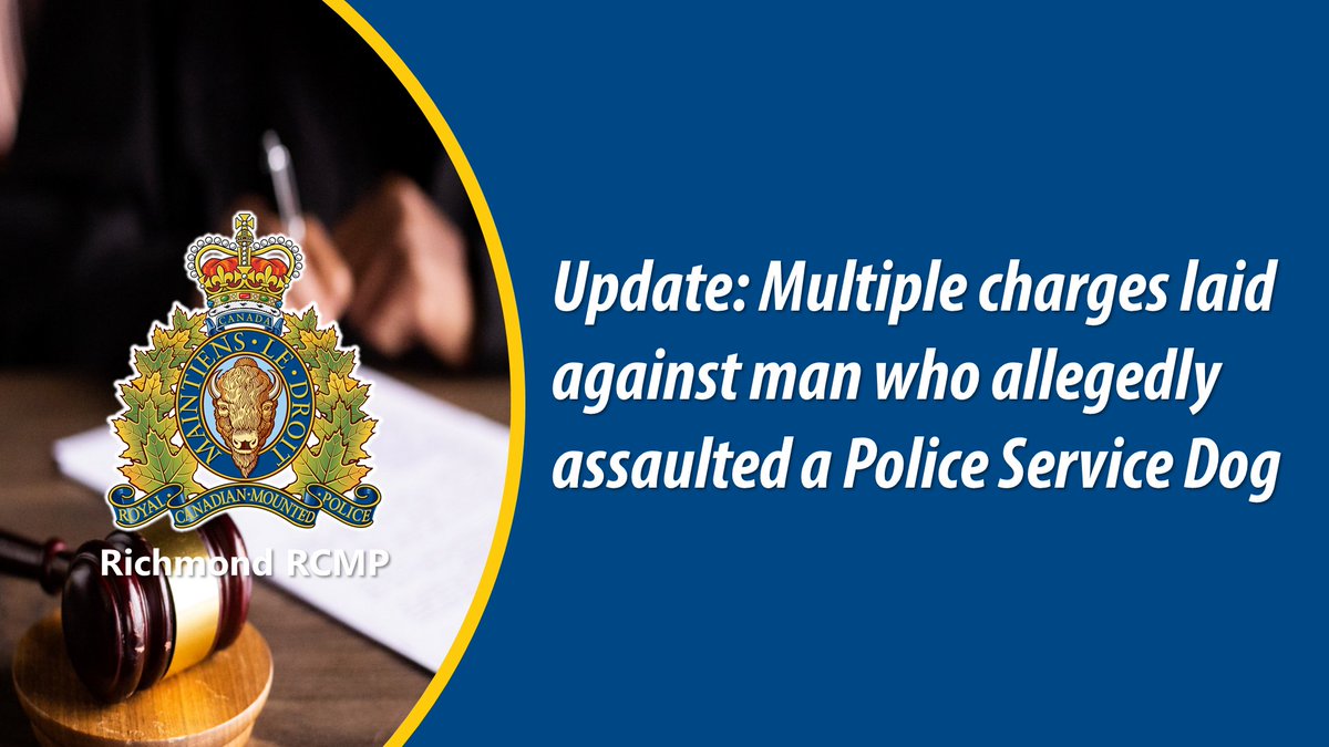 #RichmondBC -  Update: Multiple charges laid against man who allegedly assaulted a Police Service Dog bit.ly/3F79TcZ