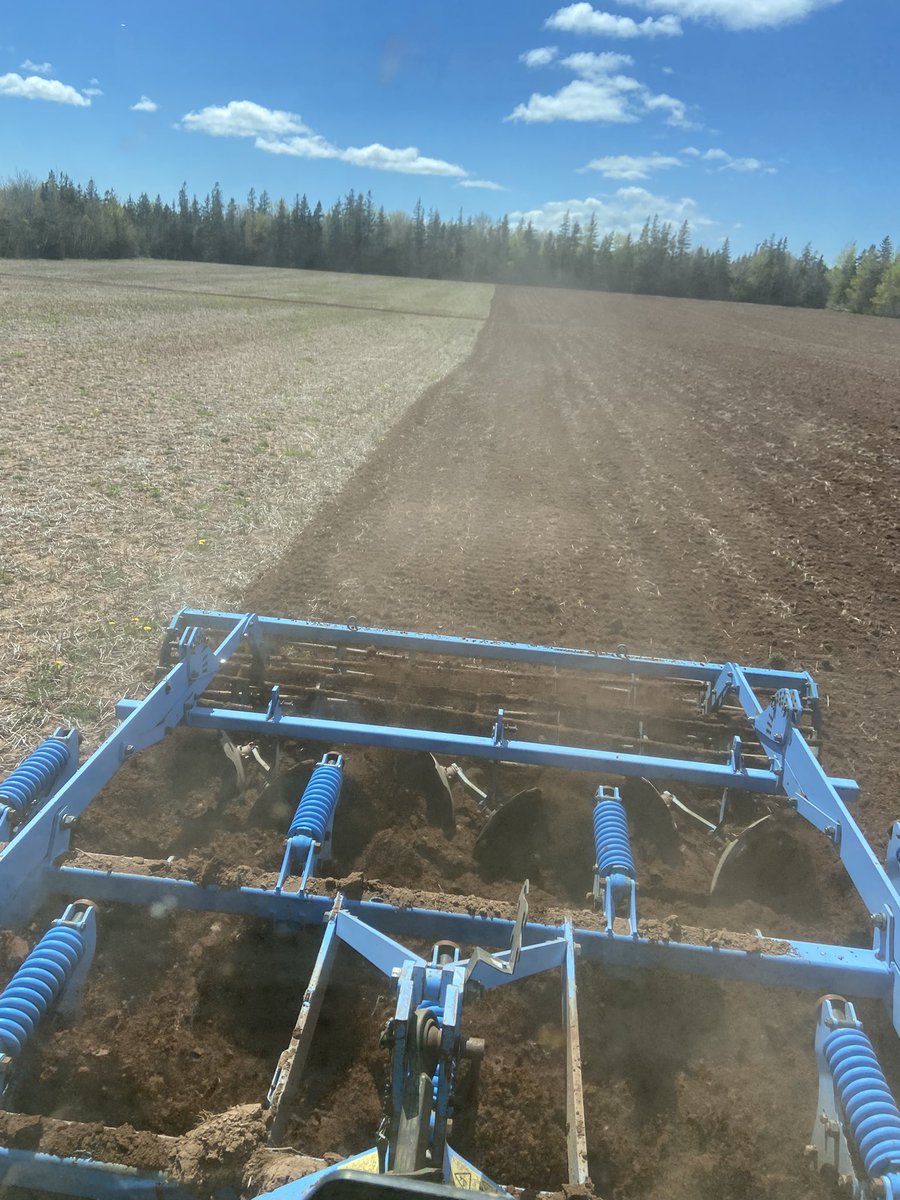 The soil dried out nice this week!