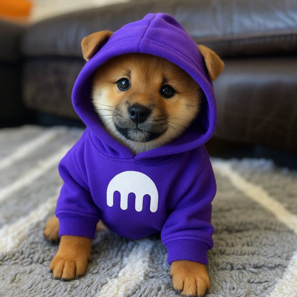 Bruidbtc's tweet photo. The $DOG army have been showing up every day for one year straight. 

We show up on green days and we show up for red days. We always backing the $DOG army. 

Now we getting ready to dominate the WORLD with @krakenfx and keep showing up for the free and fair movement! https://t.co/HciOAyFog7
