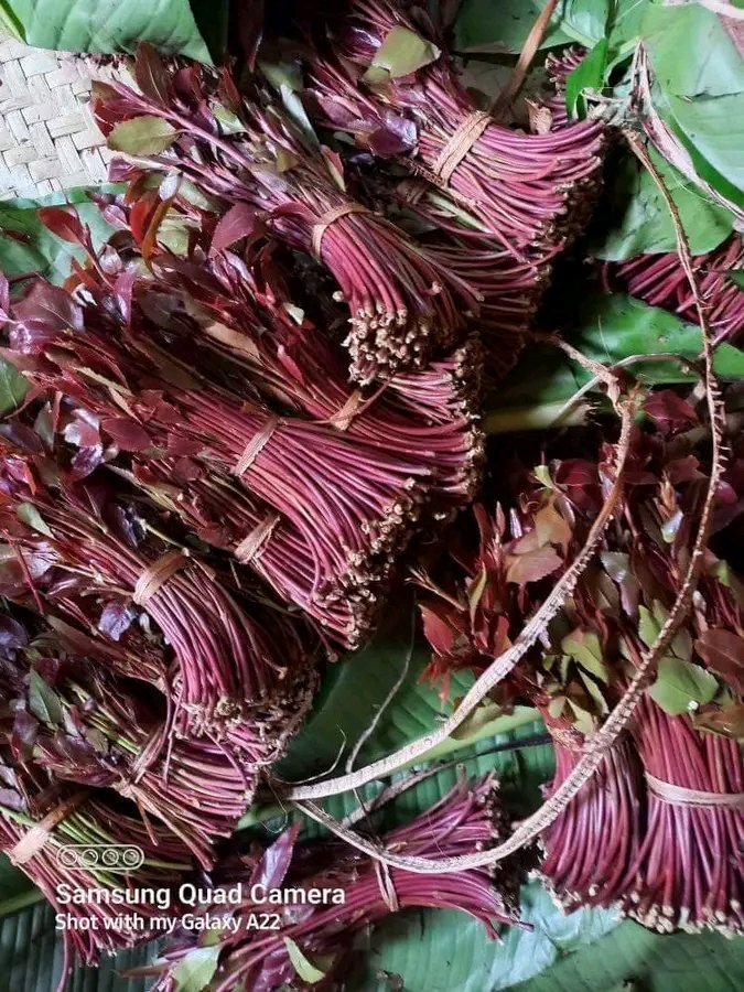 Miraa makutano Meru town mali sadi Kwa A vibration....holla at 0706059802 to place your order