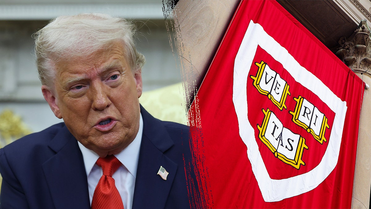 🚨 BREAKING : "L'amministrazione Trump vieta a Harvard di iscrivere studenti internazionali: trasferimenti obbligatori per quelli già presenti"
