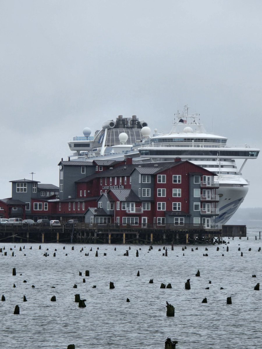 macca1914's tweet photo. @PrincessCruises 
Sapphire Princess looking like a houseboat in Astoria last week https://t.co/eQv1NVMiyn