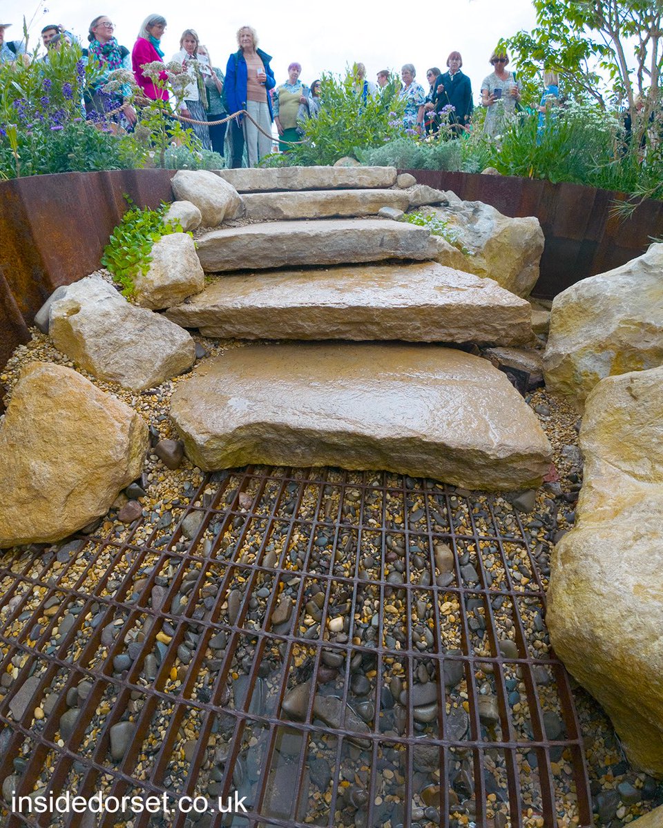 InsideDorset tweet media