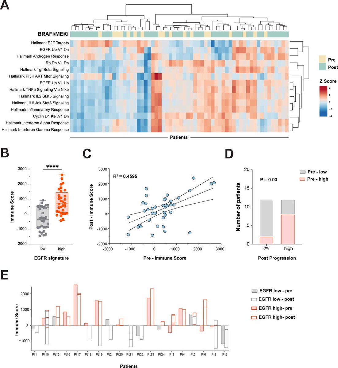 Journal for ImmunoTherapy of Cancer (@jitcancer) on Twitter photo New #JITC article: Sensitivity to immune checkpoint inhibitors in BRAF/MEK inhibitor refractory melanoma bit.ly/3HgcaD6 <a href="/anna_t_g/">Anna Trigos</a> New #JITC article: Sensitivity to immune checkpoint inhibitors in BRAF/MEK inhibitor refractory melanoma bit.ly/3HgcaD6 <a href="/anna_t_g/">Anna Trigos</a>