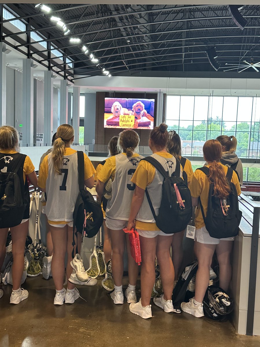 Adelphiwlax's tweet image. 2025 makes 17 Final Four appearances in the #D2WLAX tournament - it starts tonight with a first-ever meeting with Slippery Rock!
🔗: bit.ly/4dqLgEG