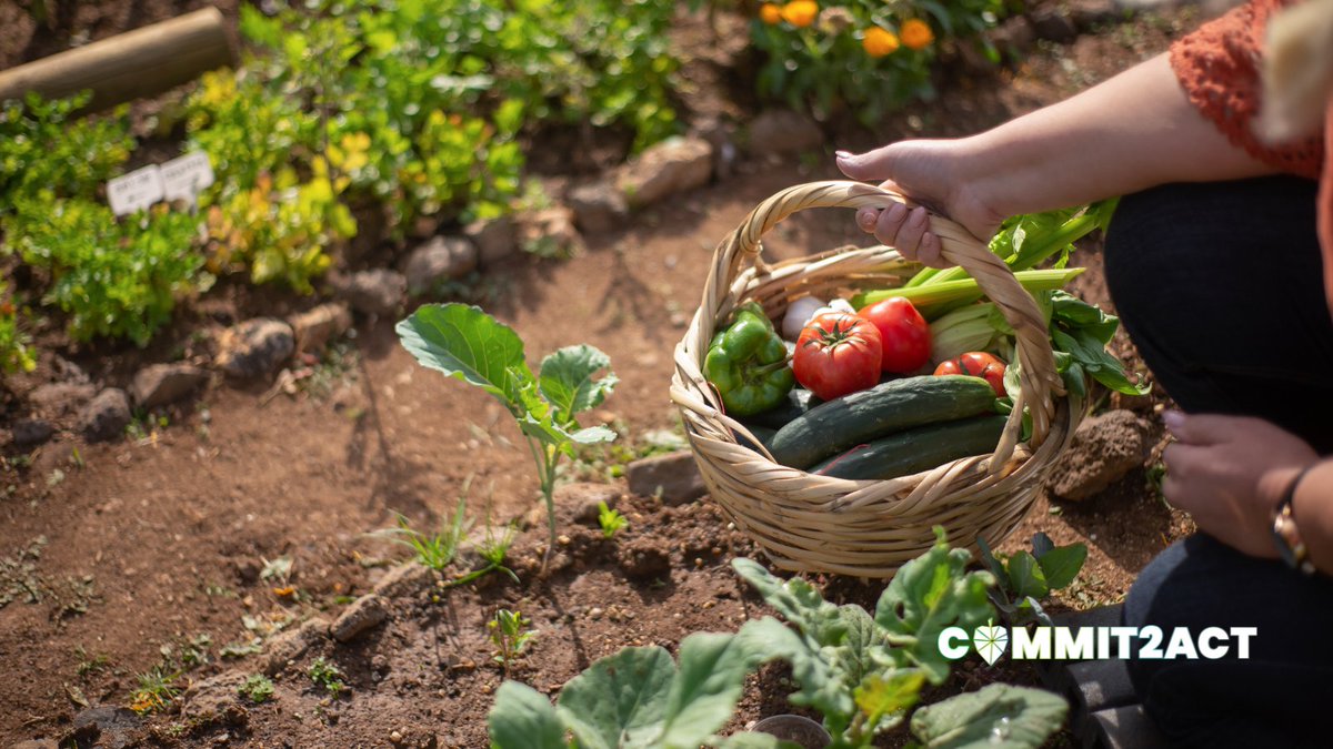 takingitglobal's tweet image. With spring in full bloom, there’s no better time to dig in and get growing! Whether it's a backyard veggie patch or a tree in your neighbourhood, planting green spaces helps our planet thrive. 🌍💚
🌿 This week, try planting a garden or tree — it's a simple action with a lasting…