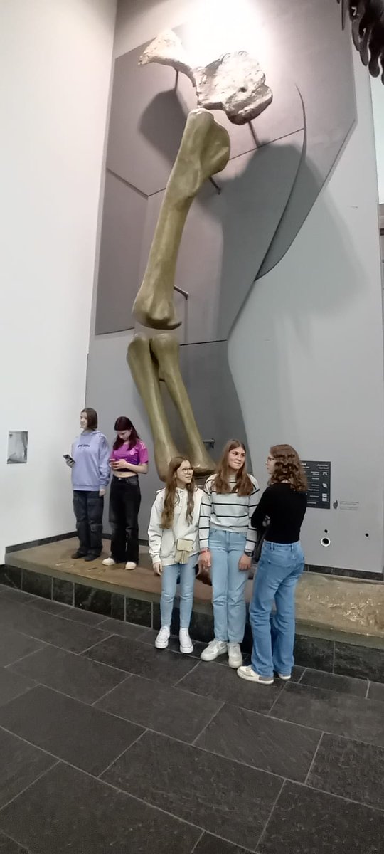 clg St Exupéry Gers tweet media