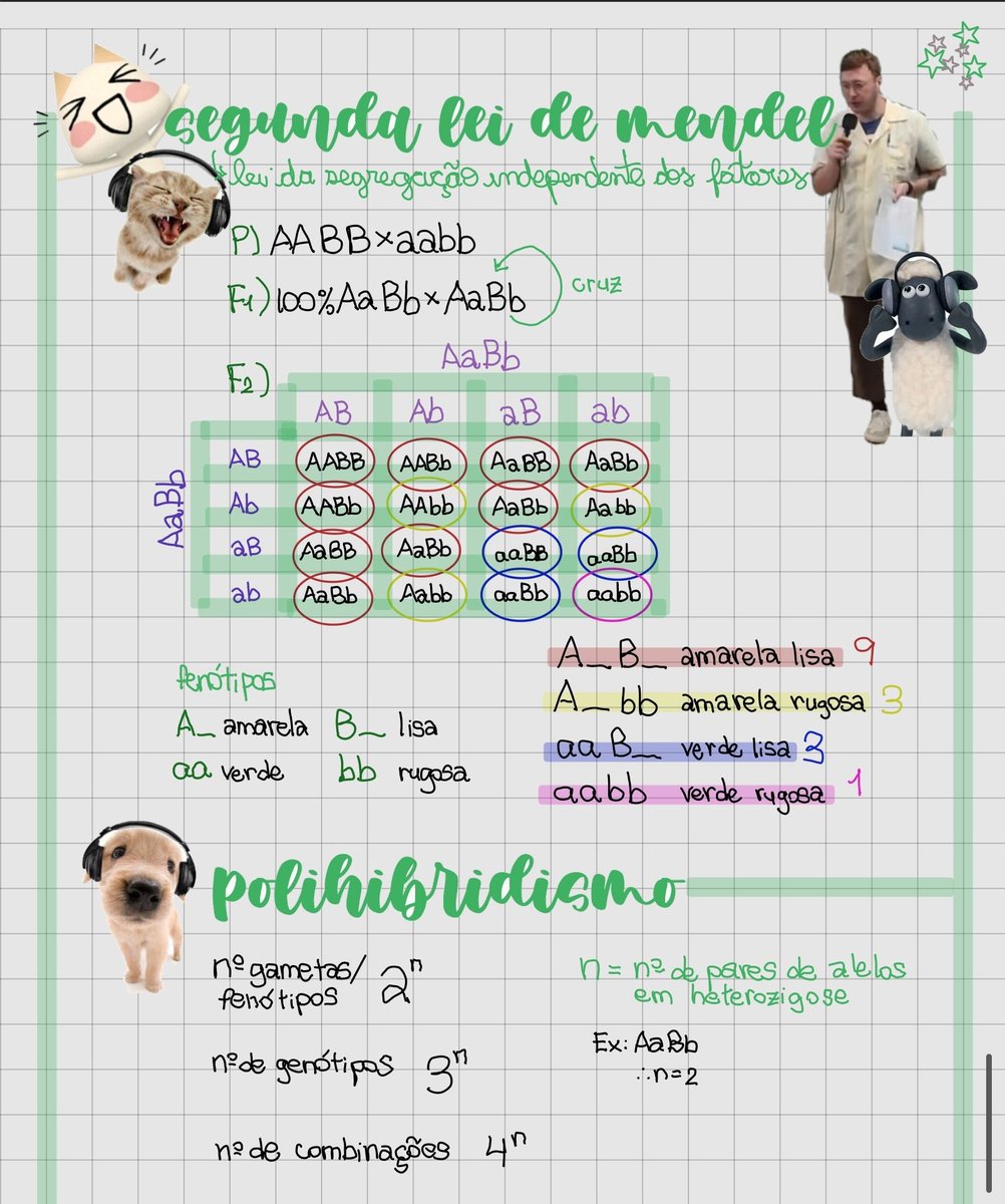 witchystudy's tweet image. clara: amiga, me manda print das suas anotações de hoje por favor
algumas das anotações: