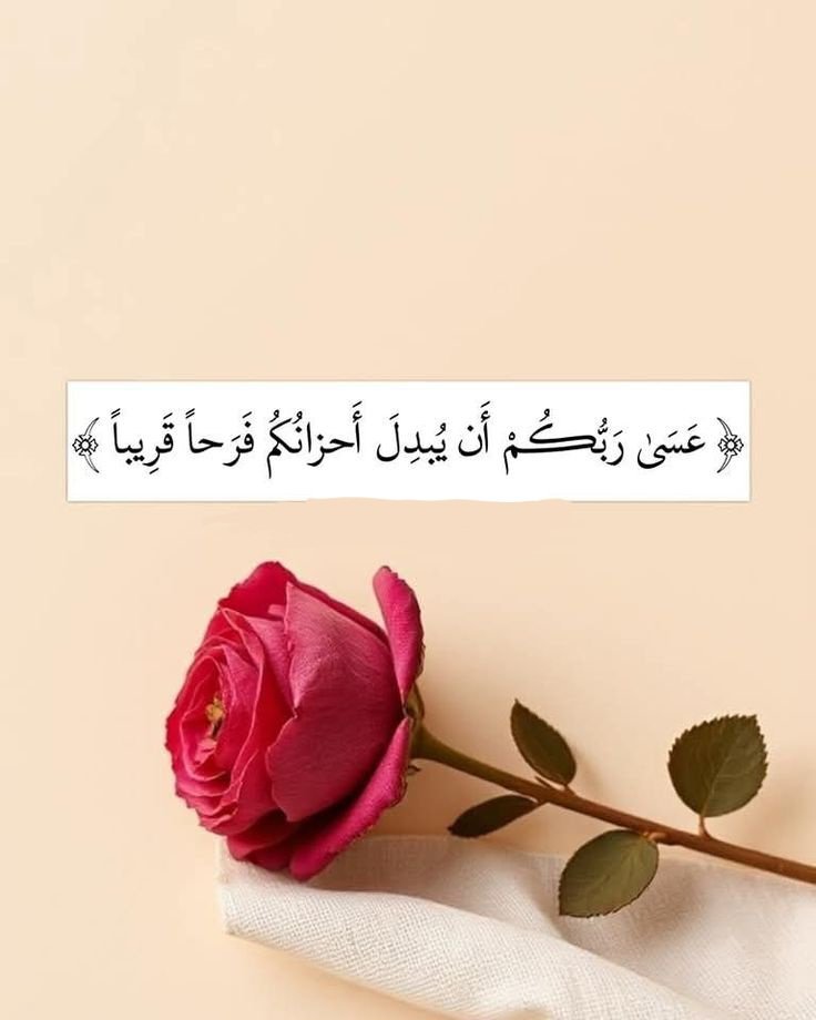 فاطمئن❤️..