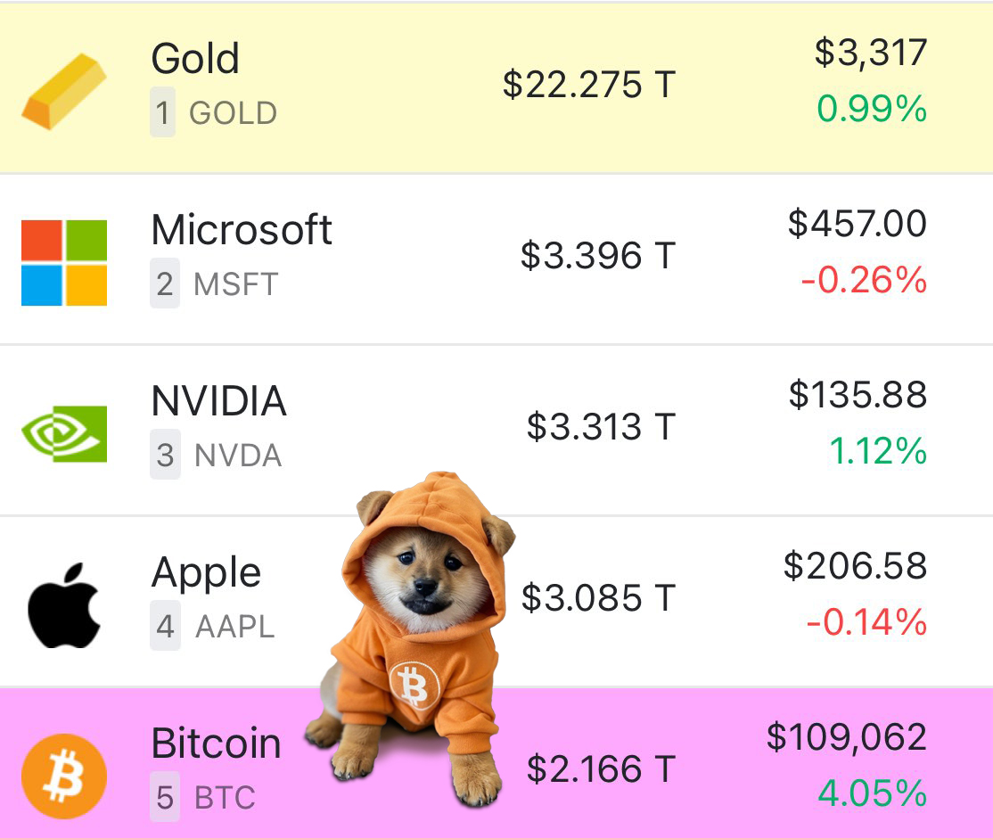 $DOG is sitting on the 5th largest asset of our planet😎