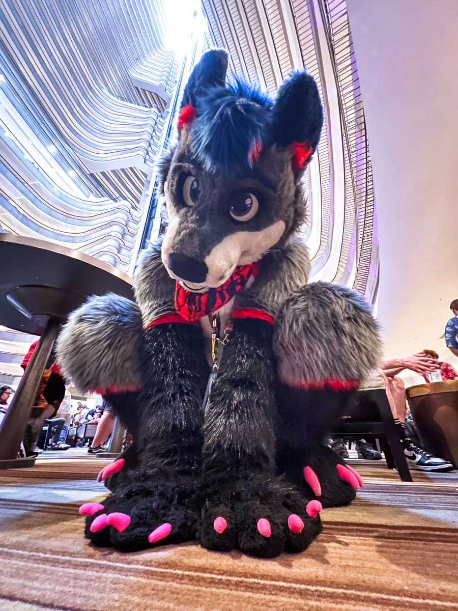 Doggo is looking at you
📸 - <a href="/SoraTheBun/">Moved to 🟦☁️ @sorathebun.com</a>