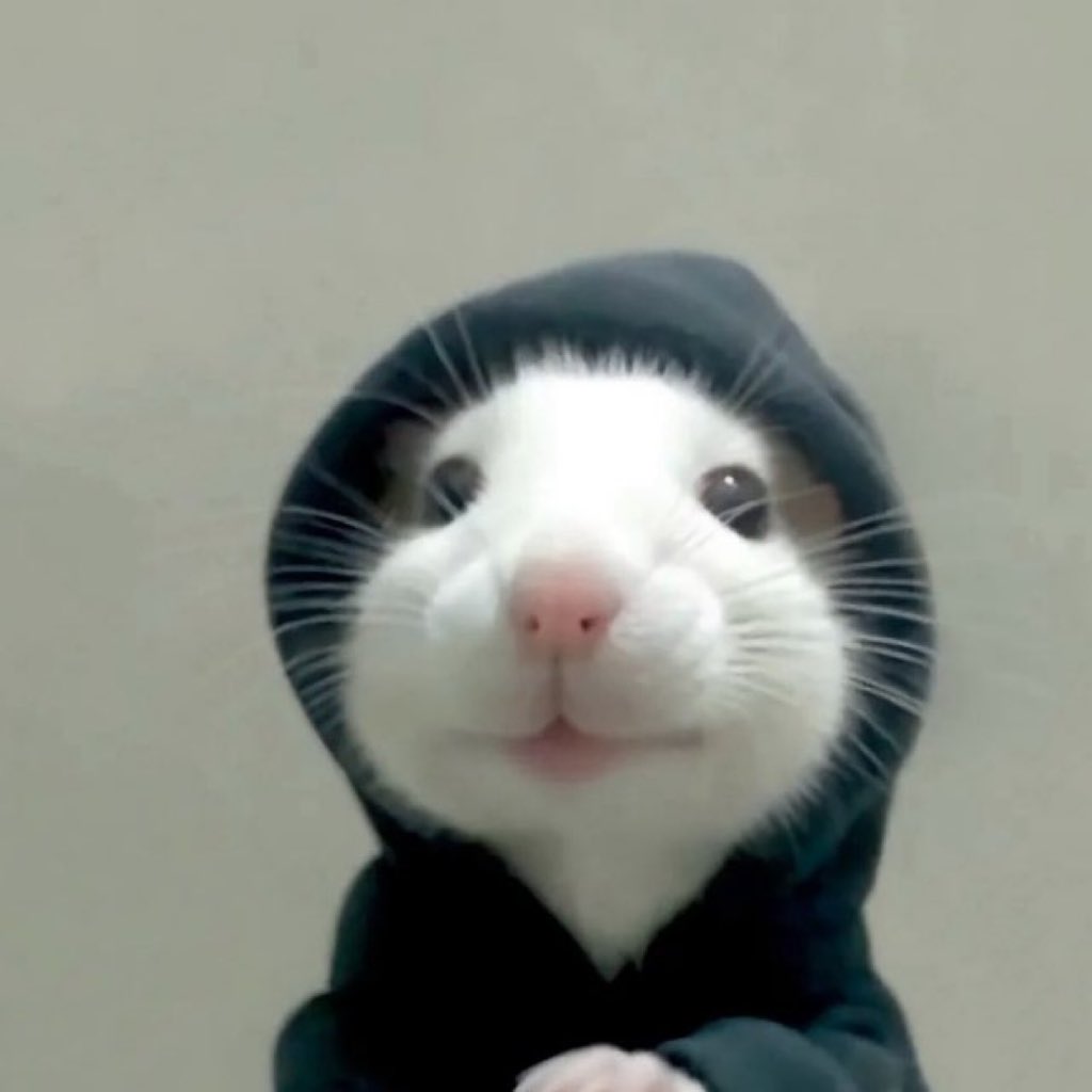 <a href="/cryptolyxe/">lyxe</a> Just post $Hoodrat and thank me later <a href="/hoodratonsol/">hoodrat</a>
