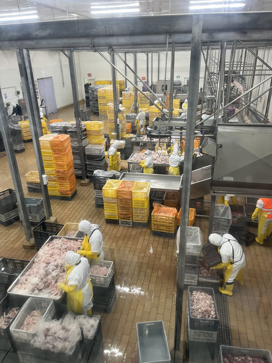 CONAVE_EC's tweet photo. Nos sumamos a la iniciativa de #ArcsaEducativa y recibimos en la Planta de Faenamiento de nuestro #SocioCONAVE #POFASA a @Arcsa_Ec para que constaten de primera mano el proceso productivo de proteina aviar de calidad. Seguiremos apoyando estas iniciativas que imparten conocimientos a nuestros futuros profesionales. @DanielSanchezEc @Produccion_Ecu @julioalvarezcoach @DEspinGarcia