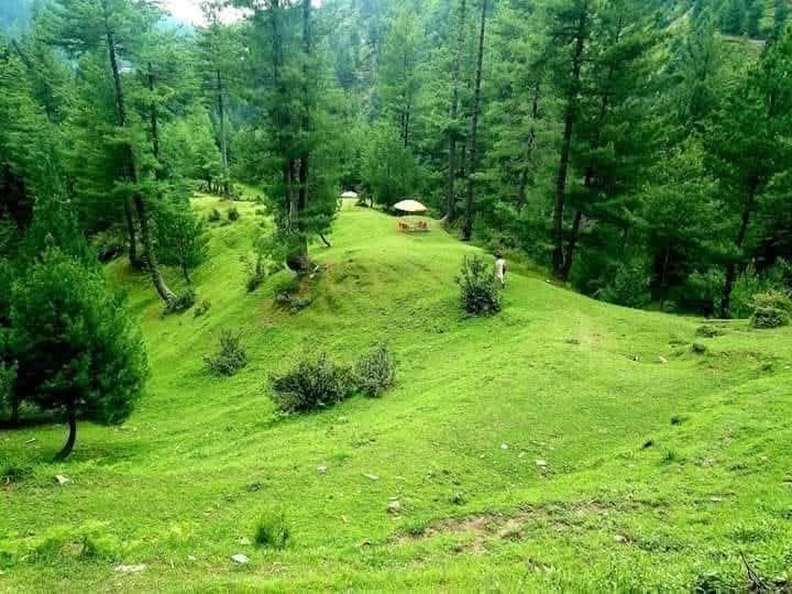 جنت نظیر پاکستان

مانسہرہ کا  نہایت ہی خوبصورت مقام (مُنڈی)

ہائیکنگ اور کیمپنگ کے شوقین افراد مُنڈی کا رخ کریں۔ جو کہ شنکیاری سے تقریباً 30 سے 35 کلومیٹر دور سچاں جبوڑی سے آگے منڈہ گچھہ کے قریب ہے۔
جنت نظیر جگہ ہے اور پرسکون فضا ہے