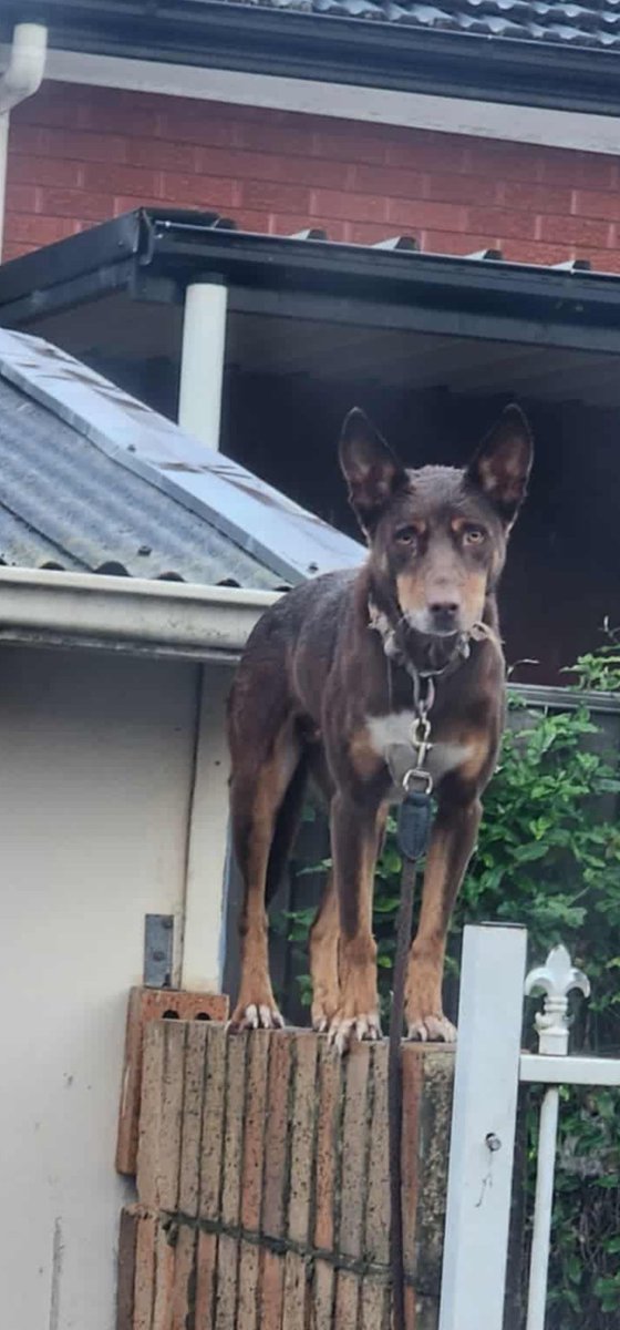 Victor (@victorstyl45133) on Twitter photo 