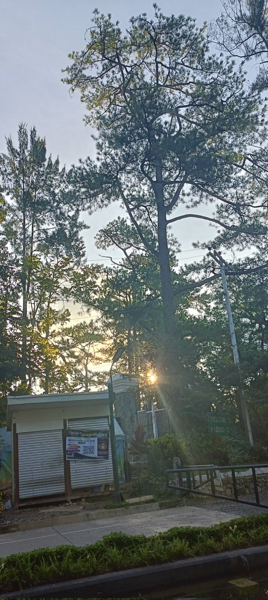 Swane47688833's tweet photo. #photography #morningwalk #NaturePhotography #Sunrise
#WrightPark
Good morning everyone!!!
The sun is up🌞
😊♥️🙏 https://t.co/s8JXAgGKAc