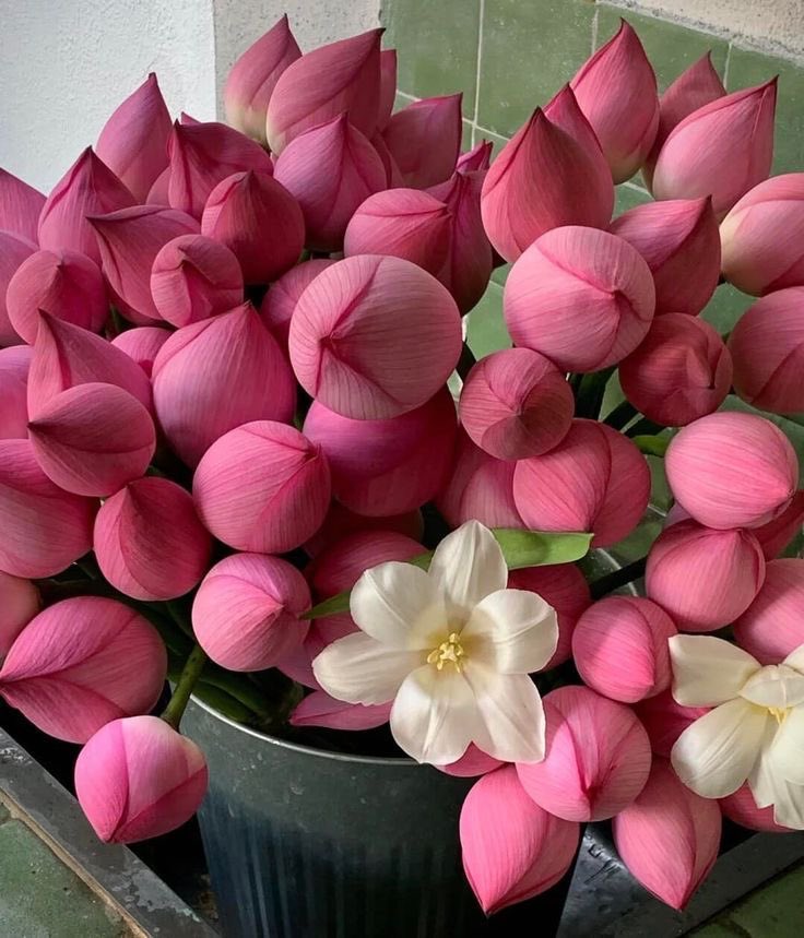heart_jpg's tweet photo. pink flowers 💐 https://t.co/9mBoBvKCyC