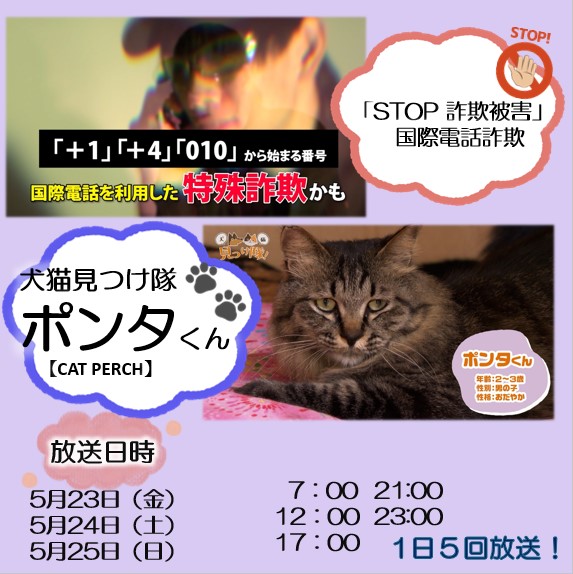 今日の情報ナビでは、
◆地域と猫をつなぐ新たな場所
◆世界を自転車で大冒険　パッシュファミリー
◆「STOP 詐欺被害」国際電話詐欺
◆犬・猫見つけ隊！　今週は都城！

— 放送日時 —
📅 5/23(金)　5/24(土)　5/25(日)
⏰ 7：00～　12：00～
　 17：00～　21：00～　23：00～