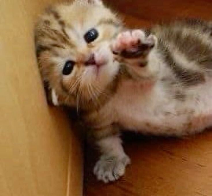 please... help... I... need... kisses ✨