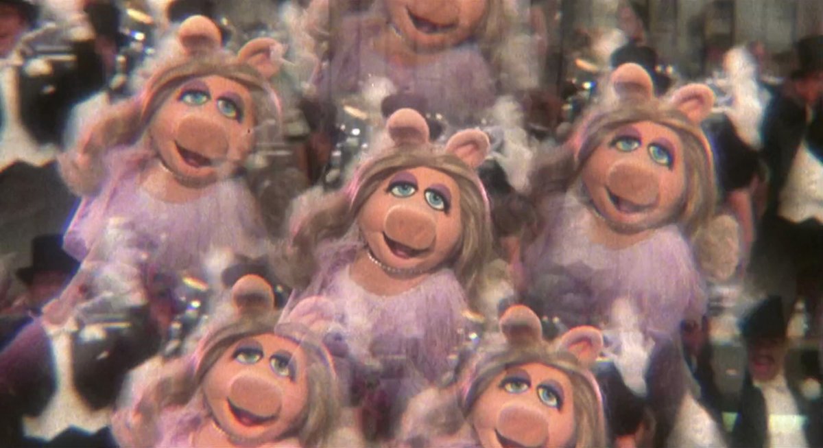 Muppet Pictures (@muppetpictures) on Twitter photo 