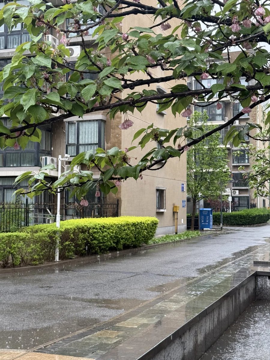 mjqqjss's tweet image. 雨が降ってきた、傘を忘れずに、良い気分も忘れずにね。☂️