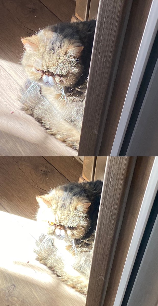 Я знаю, тут давно её не было!