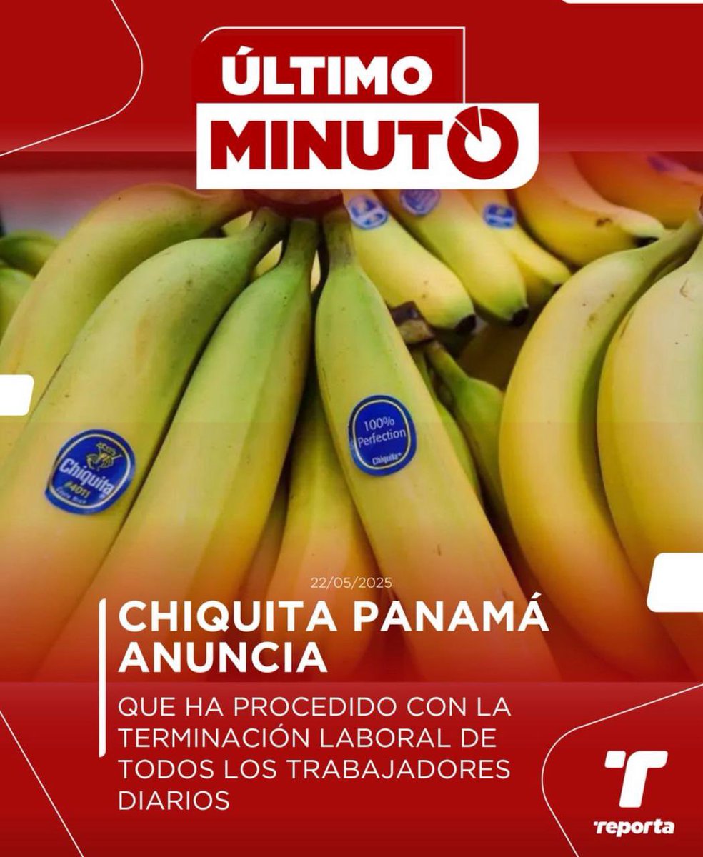 DenuncianteC3 tweet media