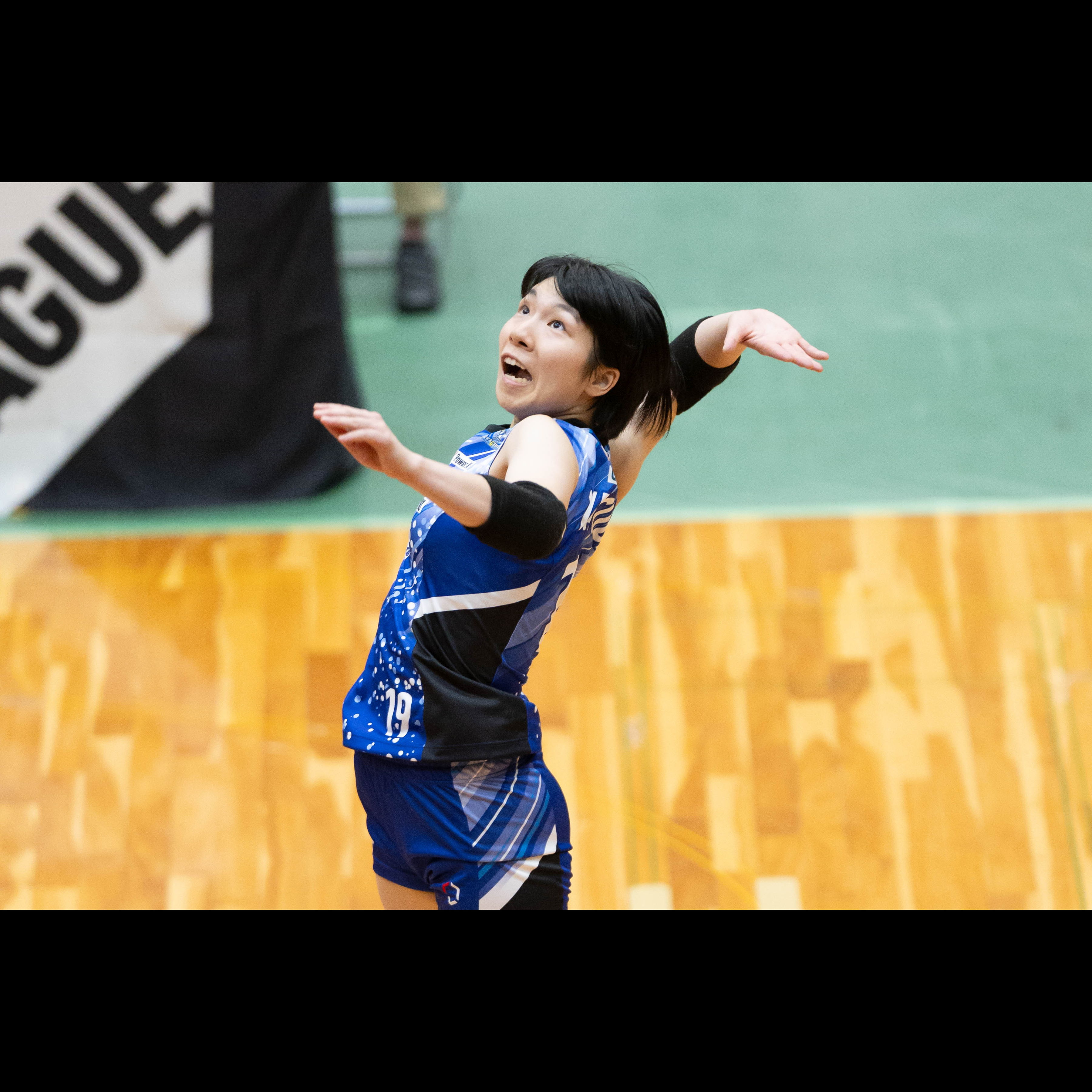 岡山シーガルズ on X: 