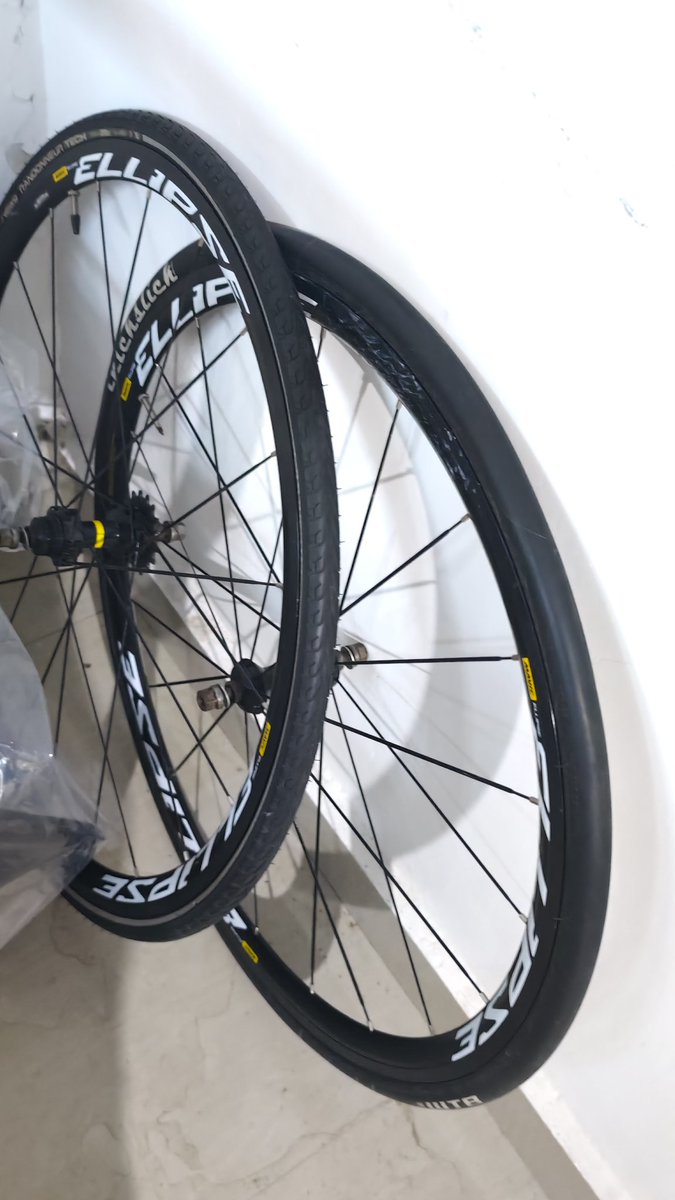 cyclosari tweet media