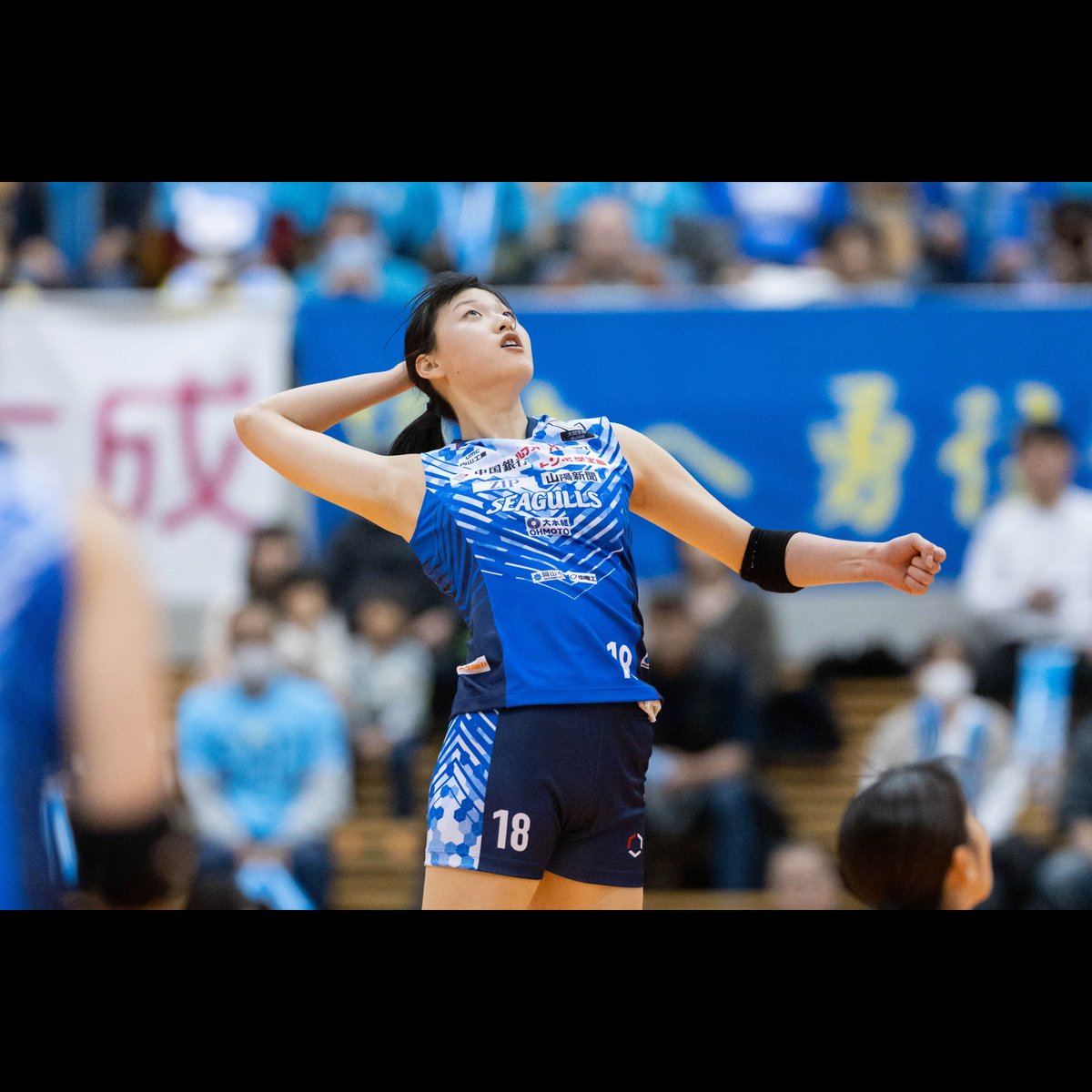 岡山シーガルズ on X: 