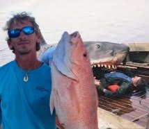 Fish-Anon tweet media
