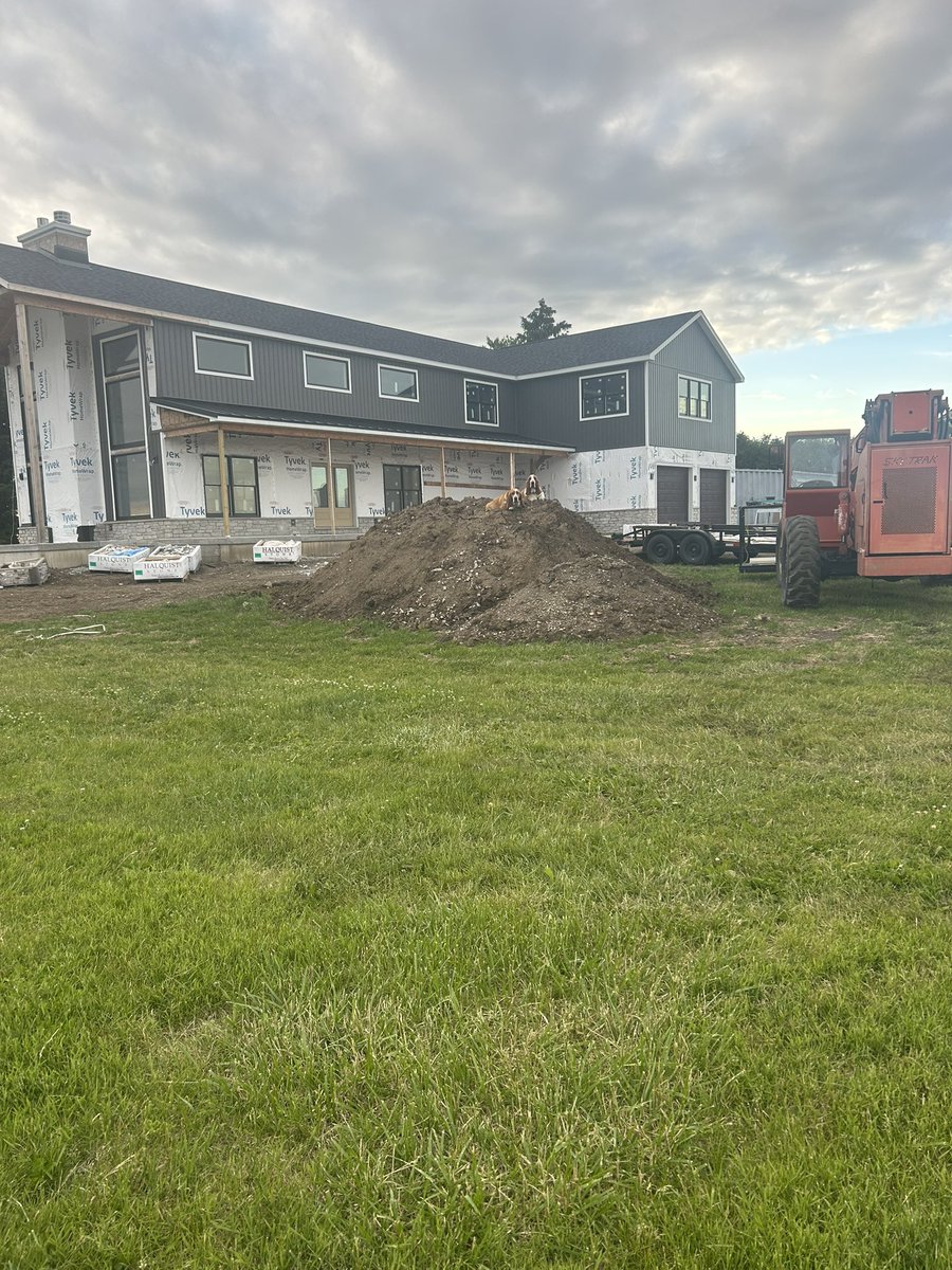 Dogs are scared of the mower, but want to be close, just not too close to the action…