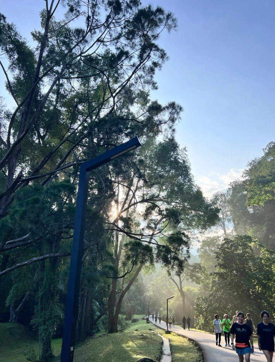 早起きを恐れず、行動しないことを恐れよう、走り出そう！🌤🌿🏃🏽‍♀️