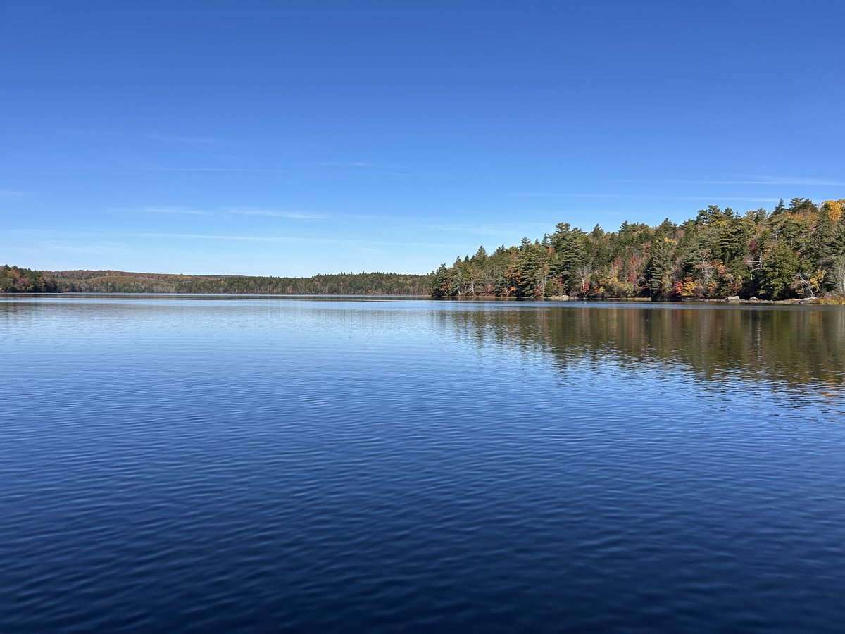 Sandy Lake is an ecological gem worth protecting. Let’s not risk losing a place where nature thrives so close to home. Please join us in supporting the protection of this vital watershed for generations to come. sandylakecoalition.ca/take-action