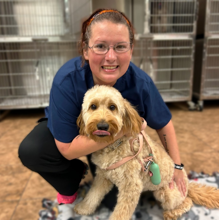 Reminder: TCAP will be at Cleburne Animal Services this Saturday, May 24 from 10 a.m. to noon for a low-cost vaccination clinic!

☑️ Dogs must be on tight, non-retractable leashes.
☑️ Cats must be in hard-sided carriers.

No appointments needed! Take a look at the guidelines.