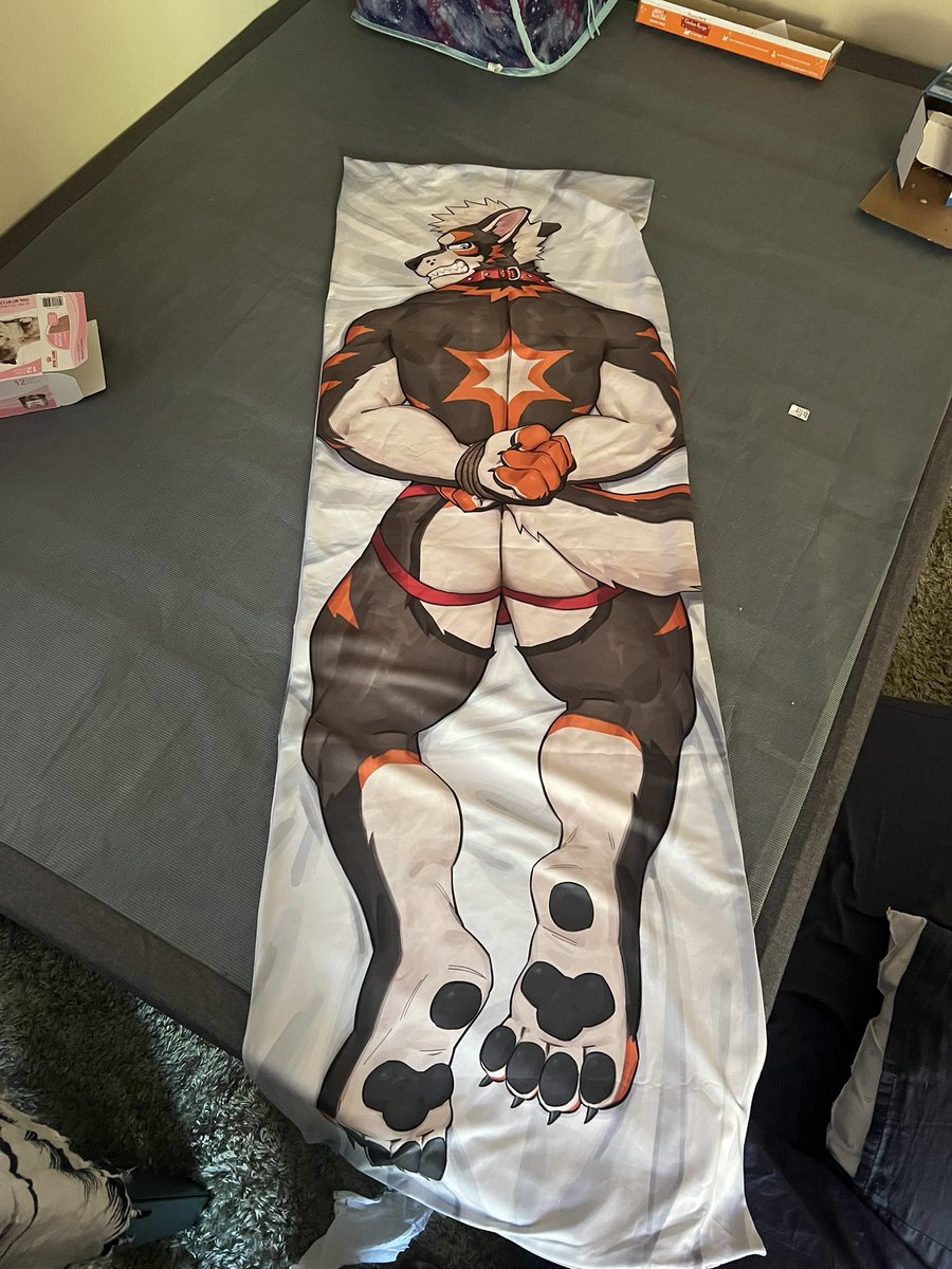 Also putting my Daki up for sale. Brand new! Never used or cuddles $45 +shipping if intrested
