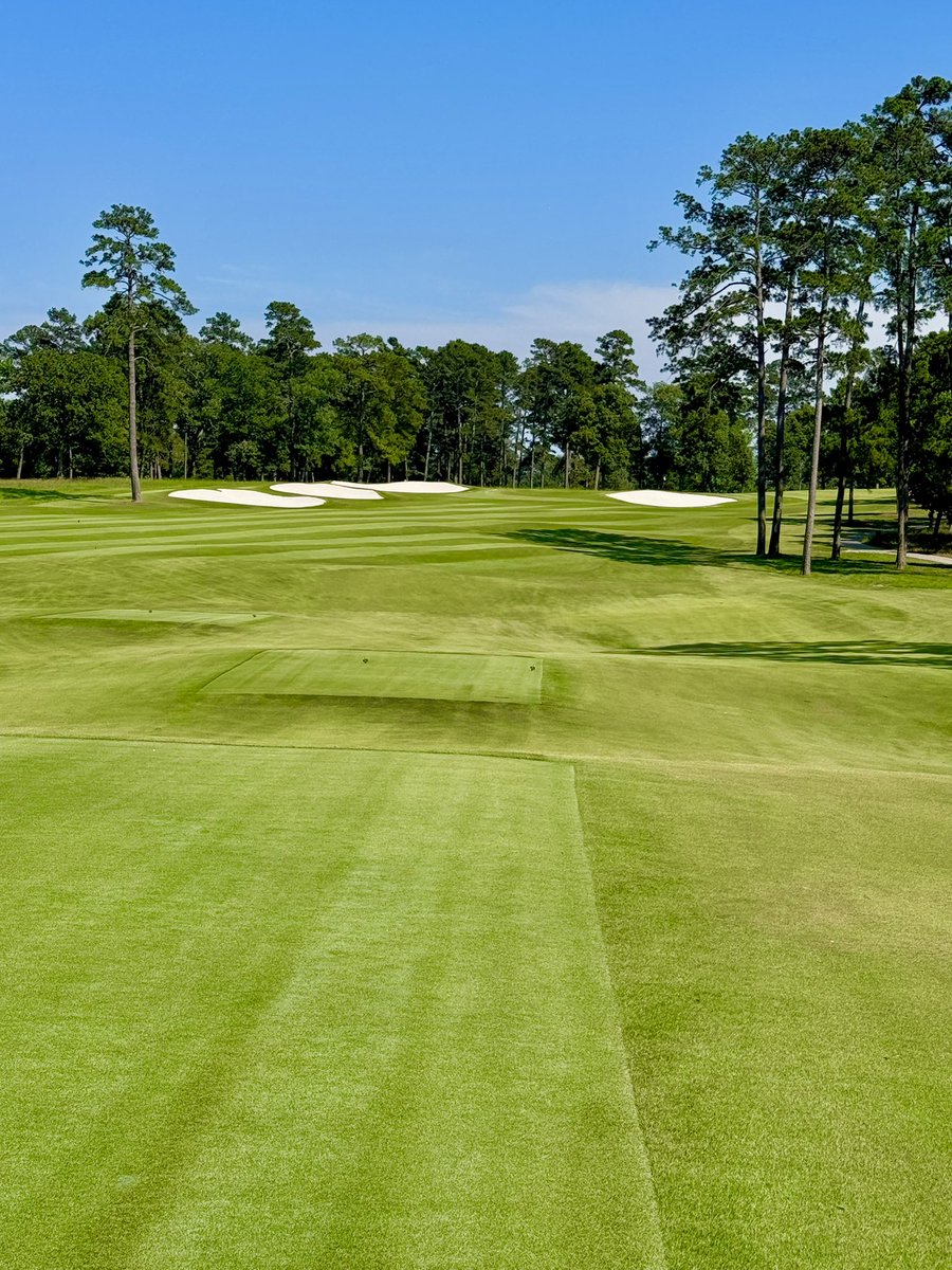 Yesterday, I played a course that is the closest feeling thing I have seen to Augusta National (in my mind). Tiger wanted it that way and he sold it to me. Short grass, tall pines &amp; pine straw lining the fairways and crazy fun contours around the greens.
📍 Bluejack National 🇺🇸