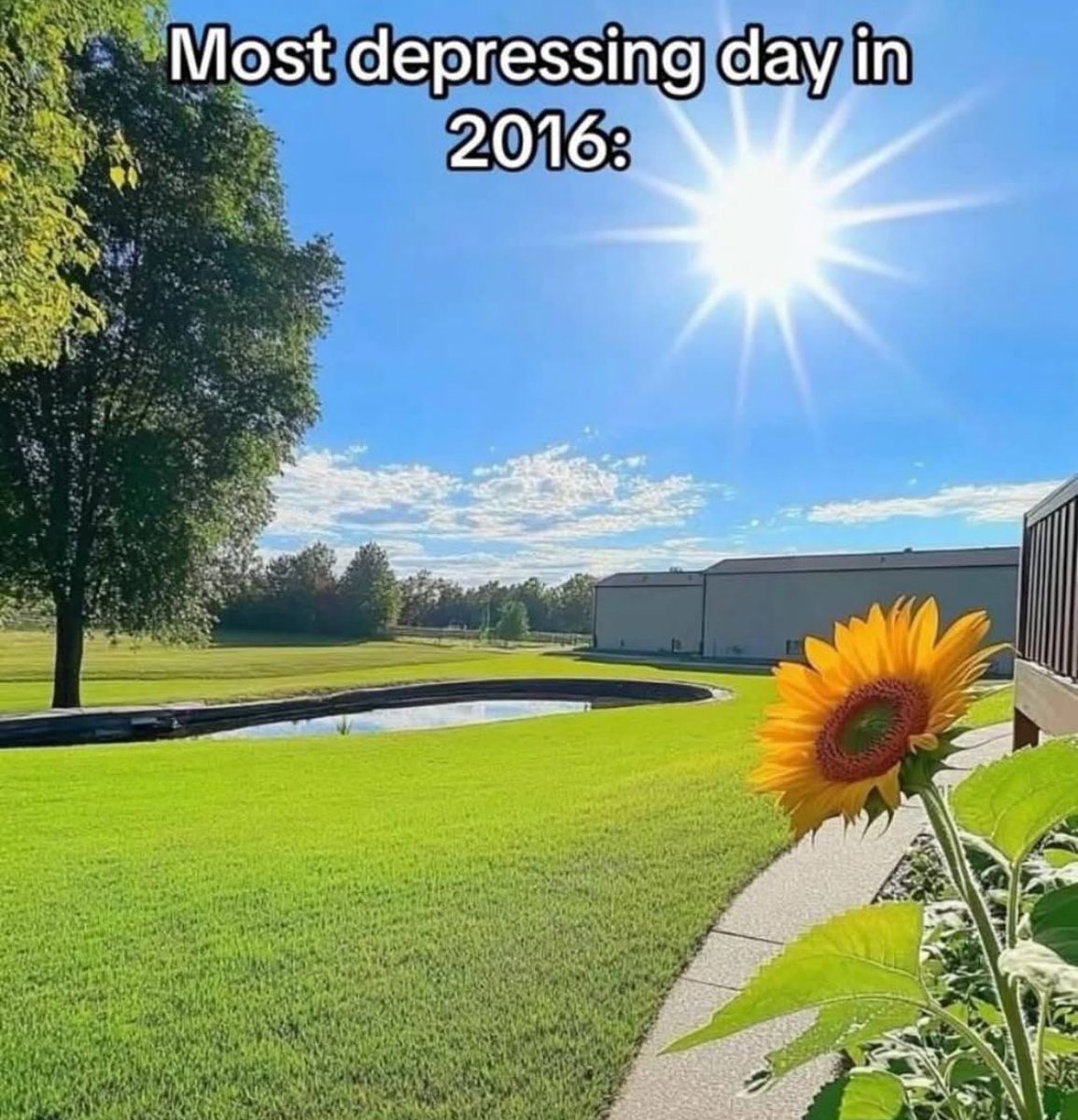 Respectful Memes tweet media
